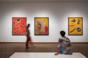 <p>IMATGES Joan Miró i l&#39;escriptura de les coses. FOTOS: Pep Herrero</p>